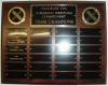 team_award.jpg (107228 bytes)